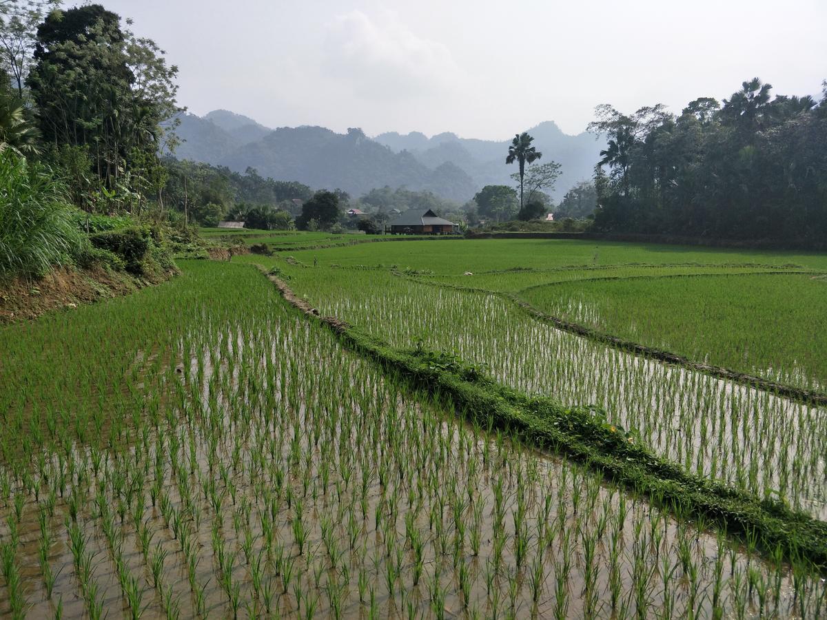 Ngan Ha Homestay Ha Giang Exterior foto